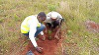 Mise en terre - Nyambaka