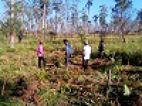 Bangangté : Début entretien et nettoyage dans la réserve forestière de baloumgoum