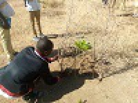 Mogodé - Les travaux d´entretien se poursuivent sur le site du lycée de Rhumzou