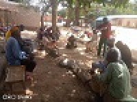 Mogodé - Education environnementale et sensibilisation des communautés 