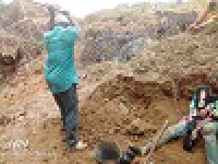 Ndiki - Relance de la pépinière à Ndikinimeki objectif 10 000 plants anacardiers et agrumes