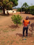 Dimako - Descente de terrain pour vérification des activités d´arrosage en pleine saison sèche