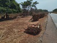 commune de Nyamaka - Décembre 2022 Sensibilisation des vendeurs de bois à rjoindre le site physique MIB