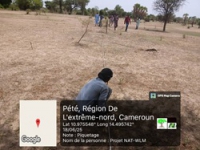 Activités de piquetage dans le site de reboisement de Badadaye dans la commune de Pétté- 180625