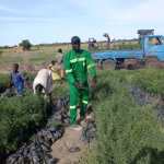Transport des  plants pour la commune de Zina- 05072025