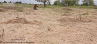 Opération de trouaison et 1ere mise en terre des plants à aAndirni dans la commune de Zina- 040725