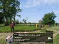 Déchargements et orosages des plants dans le site de Ngniwadji à Pétté -060725 