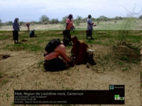 Lancement opération mise en terre dans le site Amahairi à Petté - 070725