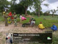 Opération de mise en terre des plants à Ngniwadji - 070725