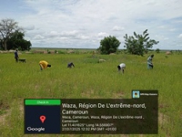 Mise en terre des plants sur le site de waza derrière la coline - 290725