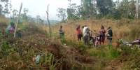 Bangangté-15_11_19-Entretien des zones de plantation et mise en place des pare feux réserve de baloumgou